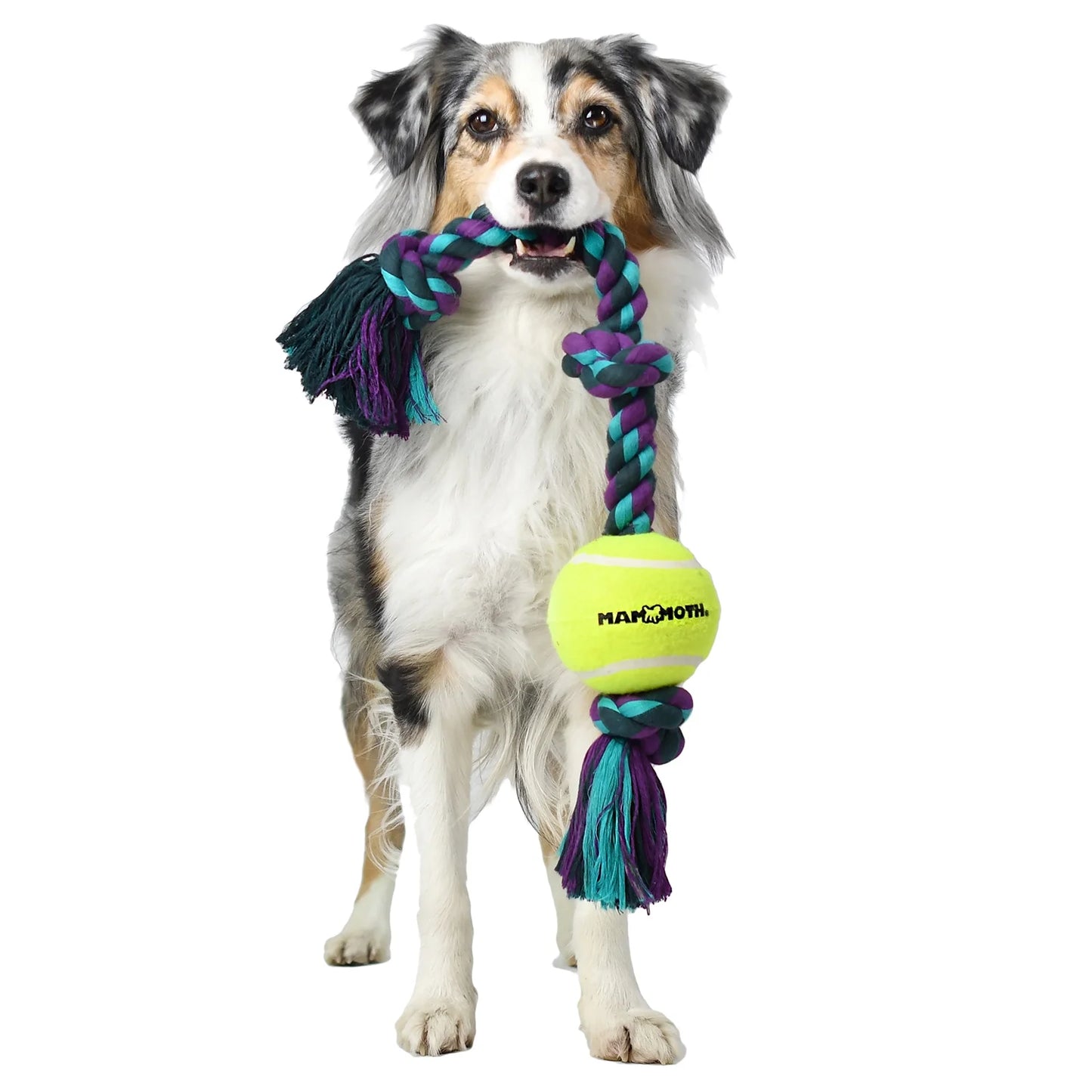 Flossy Chews Cottonblend 3 Knot Tug with 4" Tennis Ball Rope Dog Toy, Large, 24", Assorted Colors